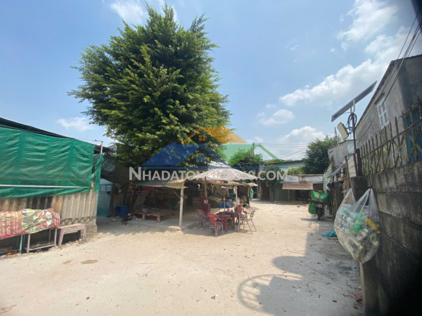 Cho thuê đất gần chợ lái thiêu  - thuận an – vị trí đẹp, giá tốt
