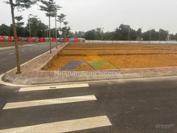 100m2 [ mặt tiền 6m] đường nhựa trục chính tđc vai réo