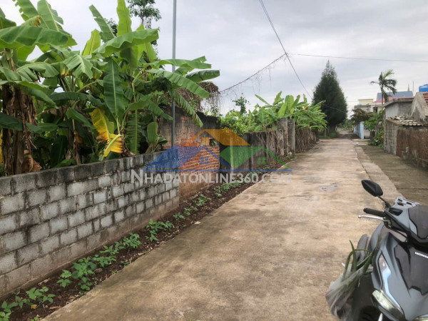 Chính chủ cần bán đất thôn thủ chính -xã nam chính-tiền hải -thái bình