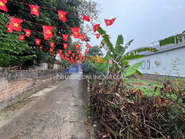 Cần tiền bán gấp đất nghỉ dưỡng đẹp quốc oai - sổ đỏ chính chủ