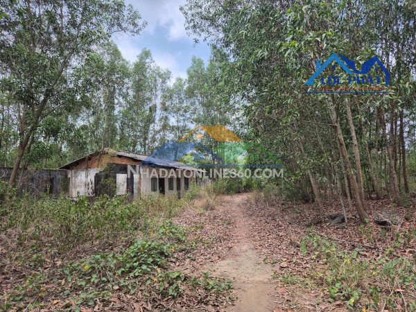 Bán đất xã Hiếu Liêm Vĩnh Cửu gần hồ Trị An dt 19500m2 giá 12 tỷ