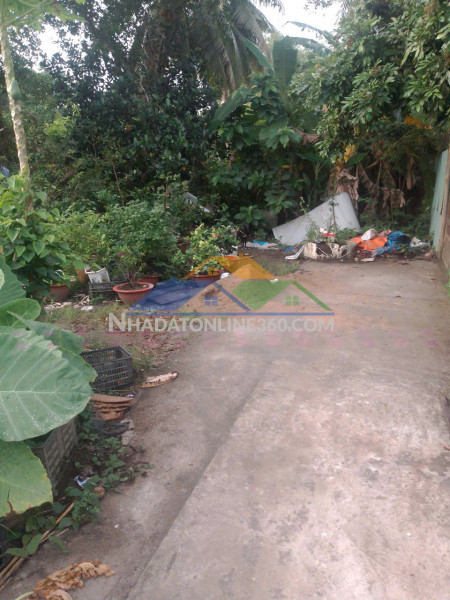 Cơ hội sở hữu đất đẹp tp. vĩnh long – giá cực tố