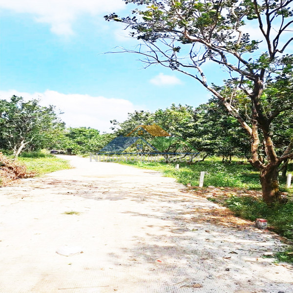 Chỉ 216tr/m mặt tiền bê tông gần thcs lê a, kcn long khánh, p....