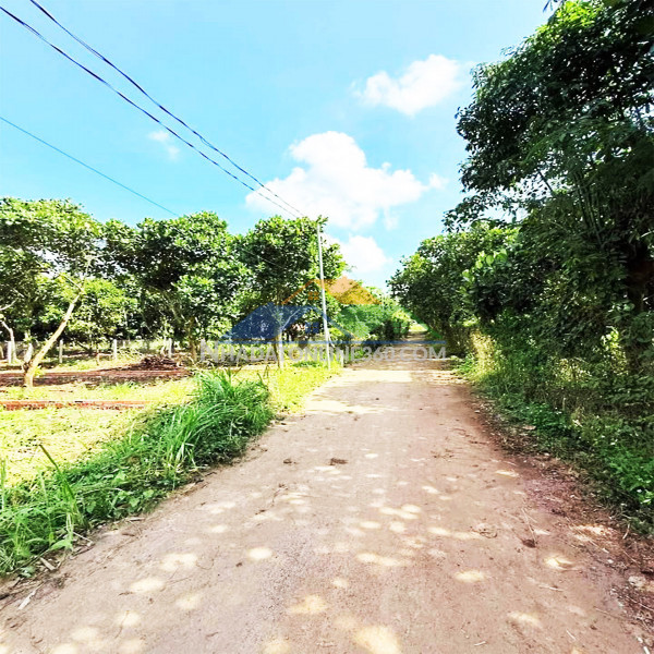 Chỉ 890 triệu 121mv  đất thổ cư, sổ riêng  ngay ngã 3 ông phúc,...