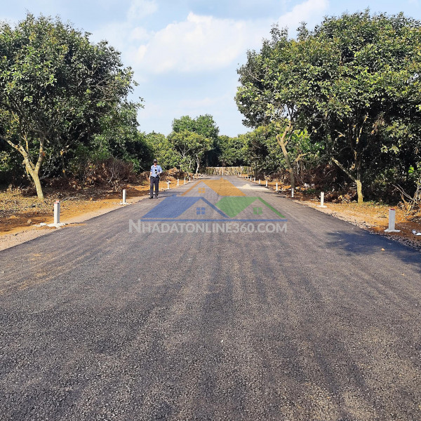 Trung tâm p bình lộc, long khánh, đn, chỉ 150tr/m mặt tiền đường nhựa 7m. giá đầu tư!