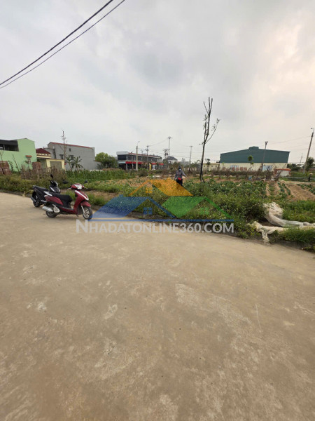 Bán nhà + đất trung tâm hội an – quỹ đất hiếm 208m²