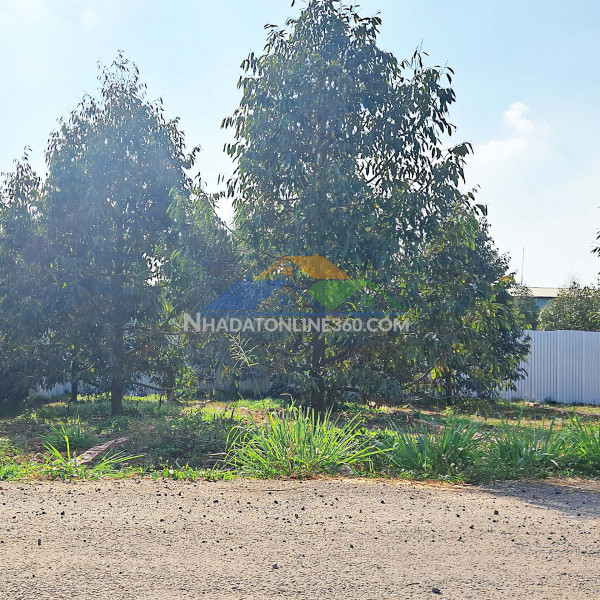 121m2 ngay dốc đồn, p bảo vinh, long khánh, đn. giá chỉ 890tr