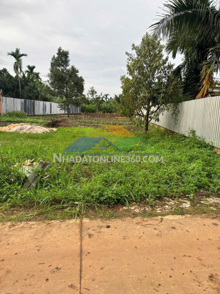 Bán đất giá tốt – cơ hội đầu tư hấp dẫn - thôn 85 - tỉnh đắk lắk