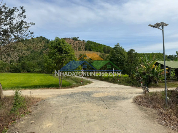 Đất đẹp – giá tốt – chính chủ cần bán tại tiên hoàng, h. cát tiên, t. lâm đồng