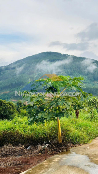 Chủ cắt lỗ bán gấp lô đất đông thanh lâm hà lâm đồng