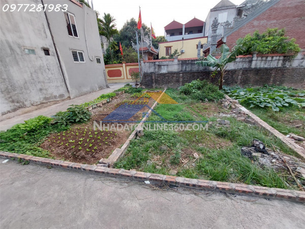 ???? đất ngã tư trôi 41m – giá tốt ????