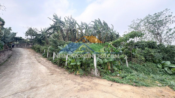 Lô đất 1510m2  đẹp tiềm năng sinh lời gần khu cn cao hòa lạc, phú cát (phú mãn cũ), huyện quốc oai, hà nội!