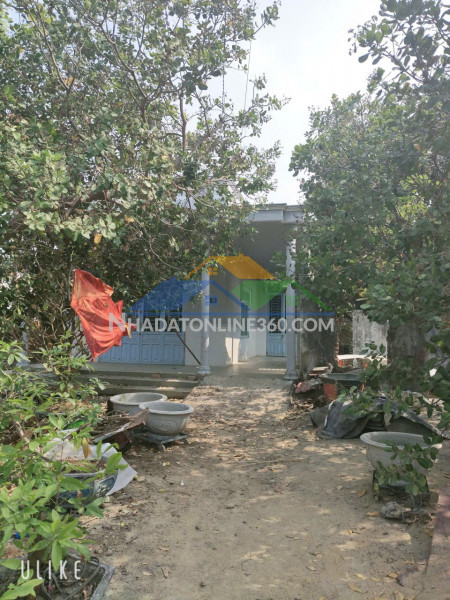 Chính chủ cần bán gấp nhà view sân vườn tại đường số 20 xã đa kai, huyện đức linh, bình thuận.