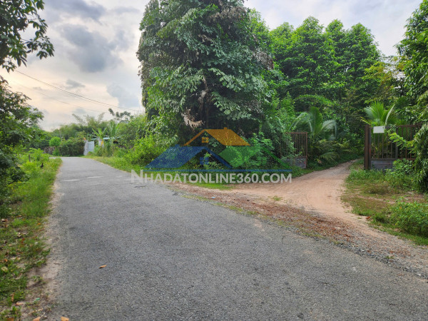 Cho thuê đất rộng 26.000m² tại xã trung lập thượng, huyện củ chi
