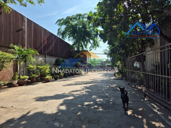 Cho thuê kho và văn phòng gần 2000m2 tại Phường Phước Tân Đồng Nai