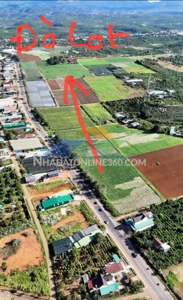 Đất chính chủ - giá tốt tại ql20 xã hòa ninh, huyện di linh, tỉnh lâm đồng