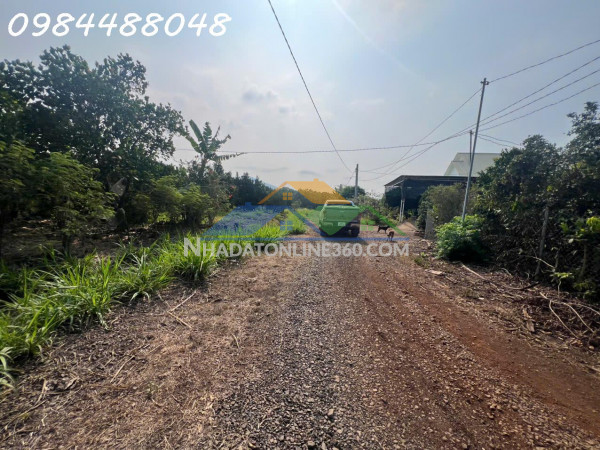 Bán vườn 3216m2, xuân phú, xuân lộc. đồng nai. giá 1,8 ty. lh 0984488048.