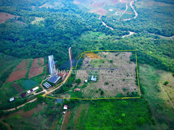 Anh chị sẽ trả giá bao nhiêu để đổi lấy 5ha đất vàng này?