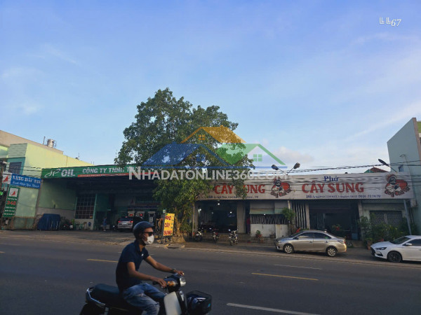 Cho thuê nhà nguyên căn – khu phố 9, hố nai, đồng nai