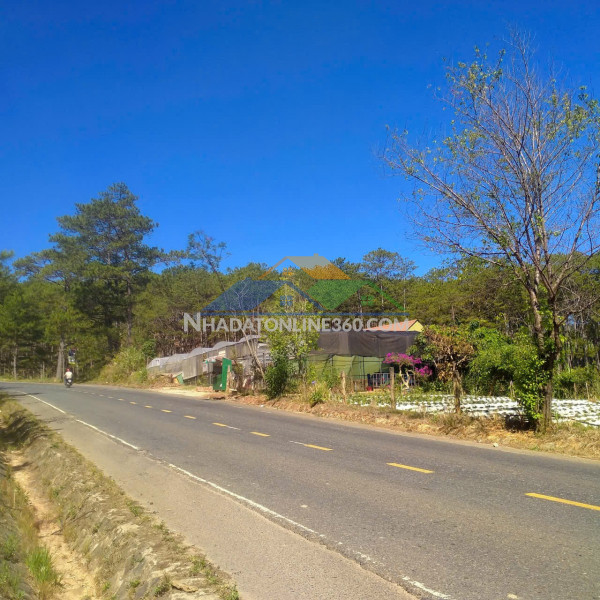 Đất đẹp – giá tốt – chính chủ cần bán đất mặt đường quốc lộ tại xã đa nhim huyện lạc dương lâm đồng