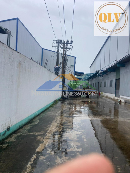 Cho thuê kho, nhà xưởng tại Bến Lức, Long An 48.939m²