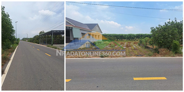 Chính chủ bán gấp đất nhựa lớn bao thuế phí trung tâm long chữ-bến cầu-tây ninh