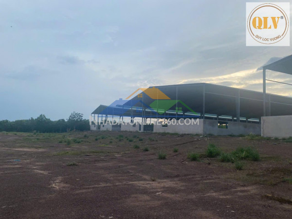 BÁN NHÀ XƯỞNG – AN THÁI , PHÚ GIÁO, BÌNH DƯƠNG – 31.952m²
