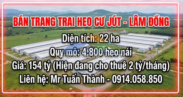 Bán trang trại heo 22 ha 4.800 heo nái -cư jut,  đăk nông. đang cho thuê 2 tỷ/tháng