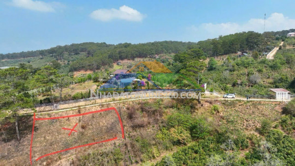 Bán nhanh lô đất xuân trường - cầu đất, đà lạt - 1000m2 - 2tỷ200triệu