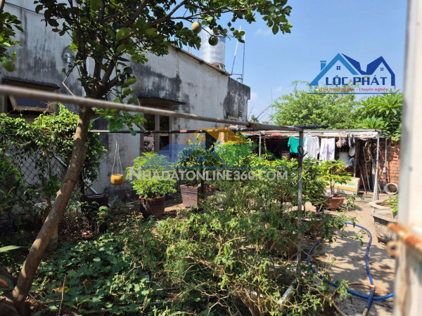 Bán nhà cấp 4 diện tích 313m2 tại Phường Tân Hạnh Đồng Nai giá 6 tỷ