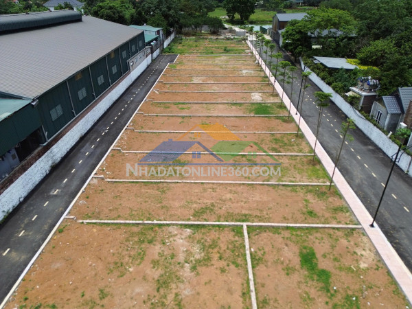 Vì sao đất đồng trạng tại hoà lạc thu hút nhiều nhà đầu...