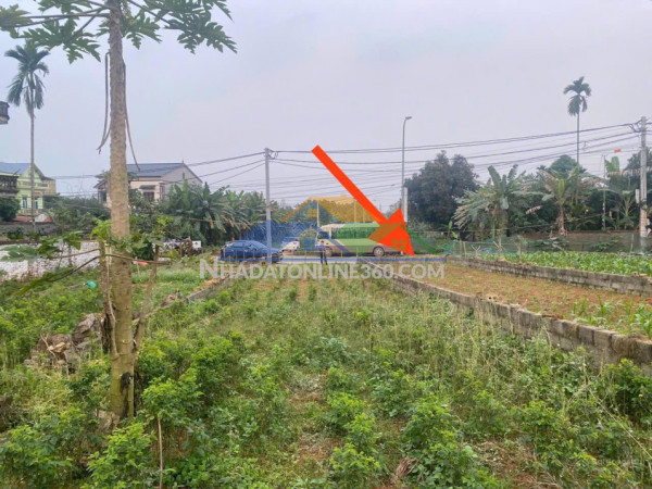 Anh trai em làm ăn kinh doanh đầu năm thua lỗ nhờ em đăng bán...