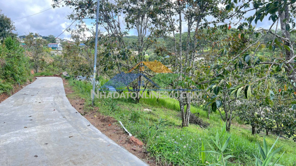 Cần bán gấp đất xuân thọ – đà lạt