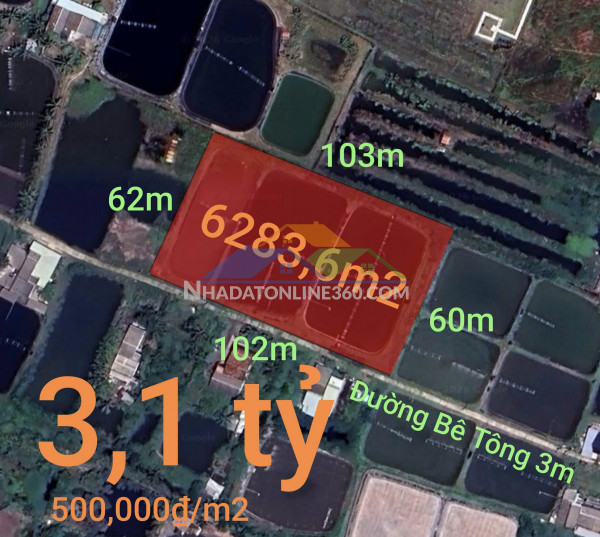 Bán đất lúa chuyển thổ xã vàm cỏ gần quốc lộ 50b giá 2,4 tỷ