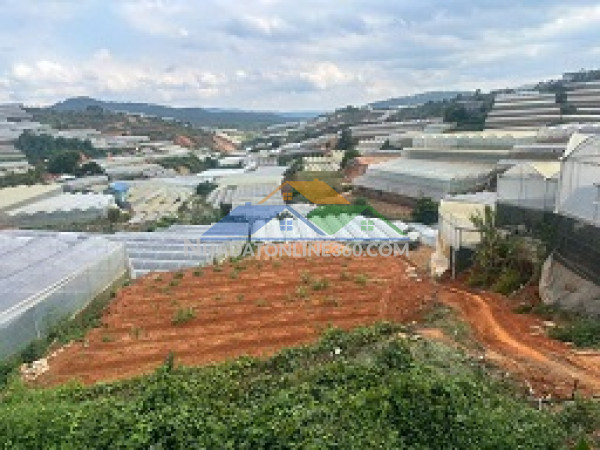 ► bán đất đẹp view đà lạt – diện tích lớn, có sẵn thổ cư