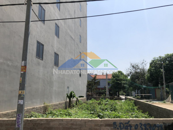 Cắt lỗ 300 triệu bán gấp đất lo cho con du học, đất sát ql21a...