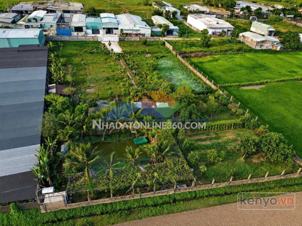 Đất lớn mặt tiền xuân thới sơn – gần 6400m² – ngang 65m có...