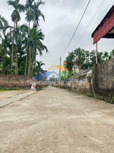 Siêu phẩm đất đẹp xóm 2, chương dương - giá tốt - vị trí...