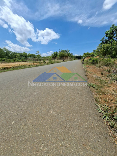 Đất nền 330m² – giá chỉ 195 triệu tùng