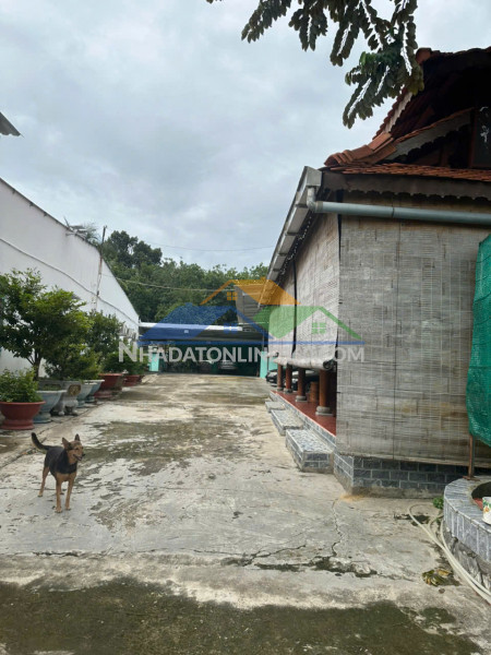 Bán nhà đất – diện tích rộng, tiềm năng đầu tư