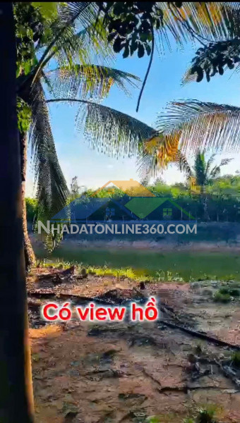 Đầu tư là sinh lời - chính chủ cần bán đất view nhà yến – xã trà tân, bình thuận