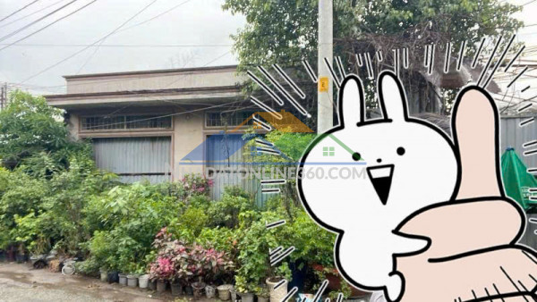 Bán nhà mặt tiền hoàng hữu nam,kế ga metro suối tiên,giảm sock 4tỷ