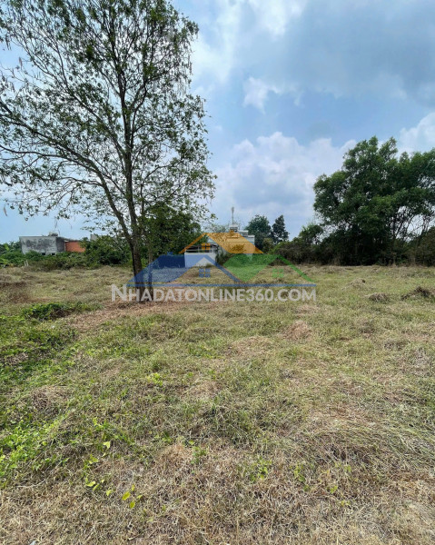 Đất sẵn sổ 490m² – giá tốt tại tân thông hội, củ chi – đường xe hơi thông thoáng