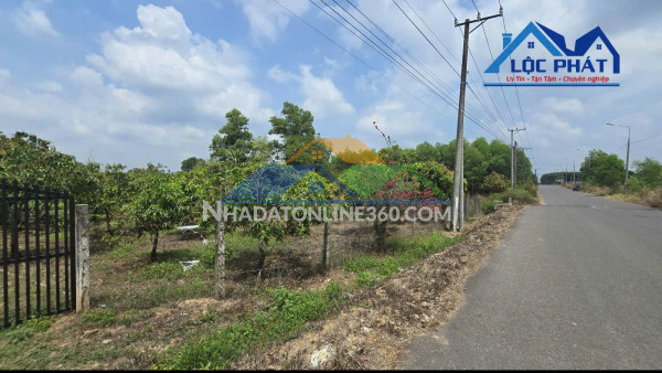 S143 ???? BÁN QUỸ ĐẤT LỚN , DT 12.471 m2, giá aabasn 11 tỷ SUỐI CAO – XUÂN LỘC – ĐỒNG NAI ????