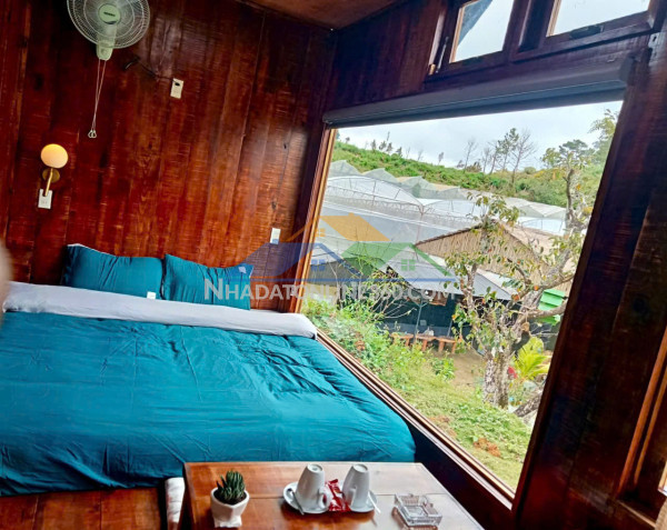 Cho thuê homestay dankia phường 7 đà lạt 50 triệu/tháng