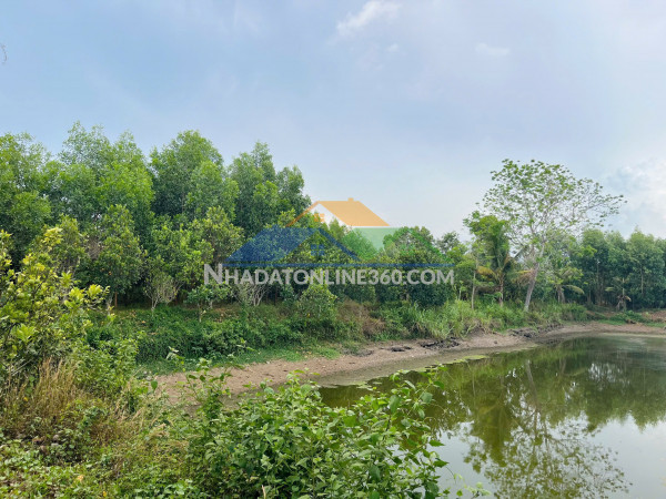 Chính chủ bán 20.000m2 đất tại xã bàu lâm, xuyên mộc - bà rịa vũng tàu