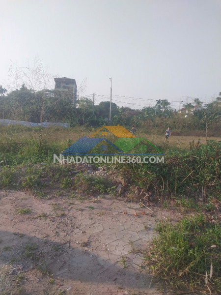 Cho thuê 6.500m² đất bãi tại linh đường, hoàng liệt, hoàng mai