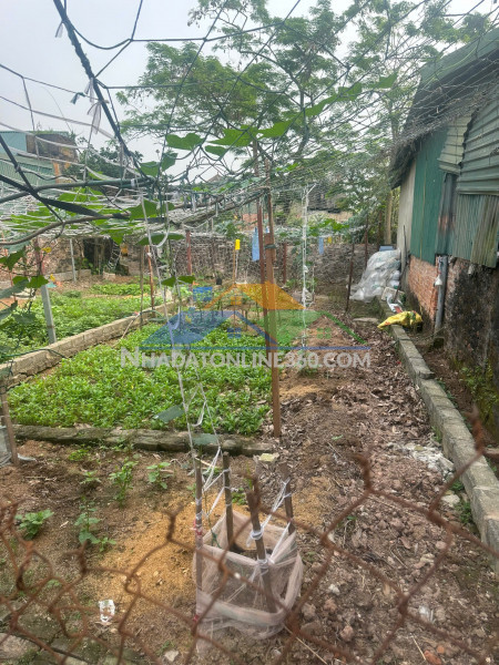 Đất 42m thư phú, chương dương, hàng đầu tư cực đẹp không thể bỏ lỡ
