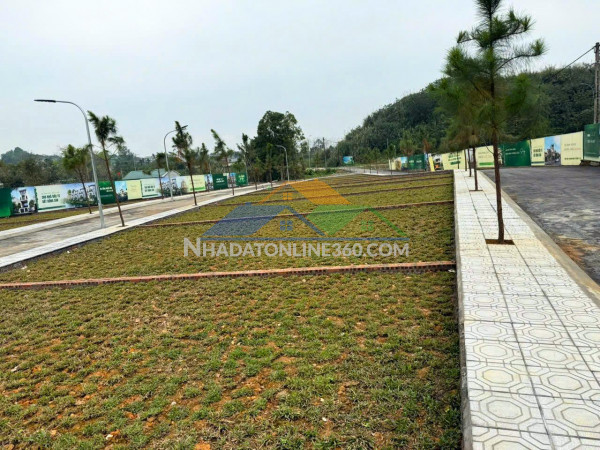 Siêu phẩm đầu tư fo phú cát sát chợ long phú đón sóng ql21...