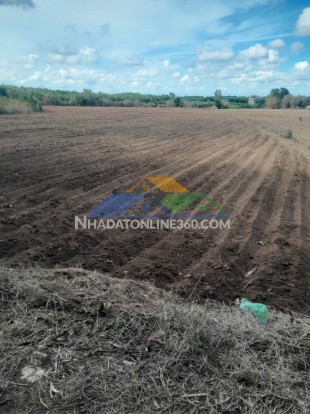Hót hót đất đẹp – giá siêu hời chính chủ cần bán đất tại xã láng dài, huyện đất đỏ, tỉnh bà rịa – vũng tàu